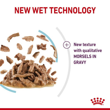 Royal Canin Sensory Feel – Hrană Umedă pentru Pisici Adulte în Sos – 85 g